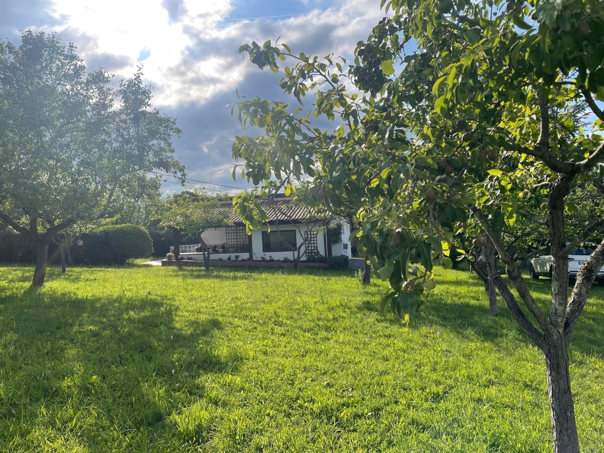 Casa Benjamin Villa Oviedo Bagian luar foto